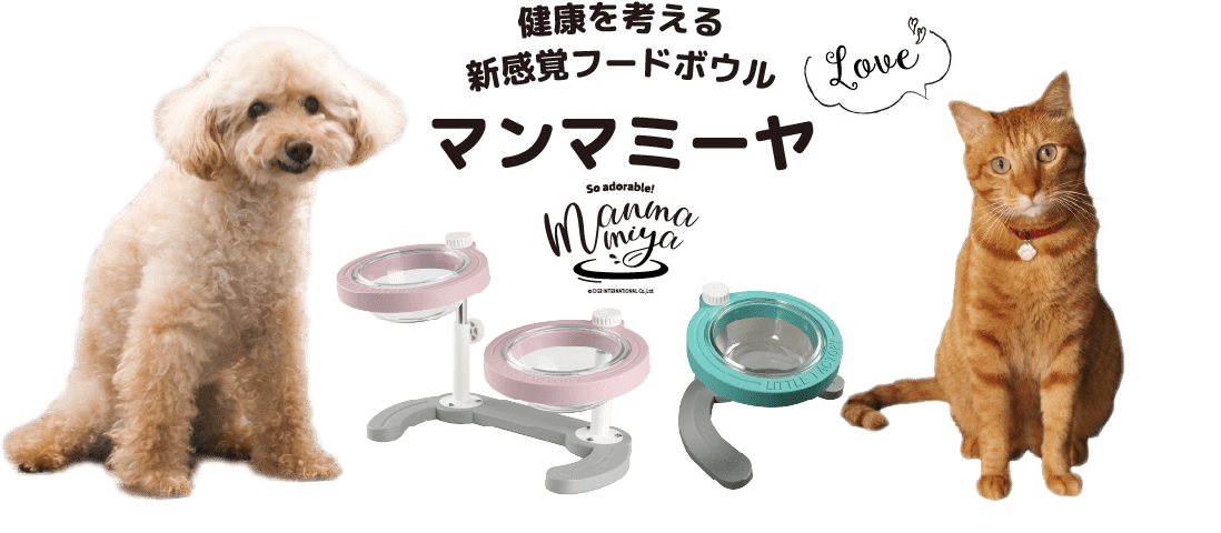 健康を考える新感覚フードボウル