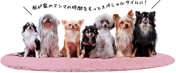 スペシャルタイム